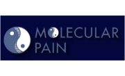logo-paai.jpg